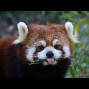 Meet your Posher, Payten